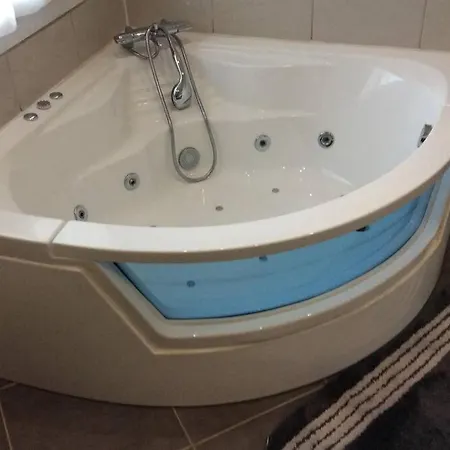 Maison meublée à Brioude, terrain et piscine centre ville Villa *